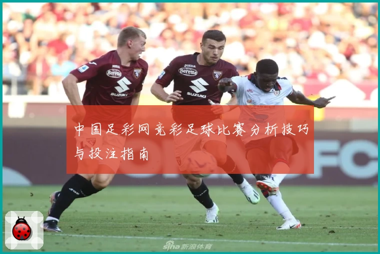 中国足彩网竞彩足球比赛分析技巧与投注指南