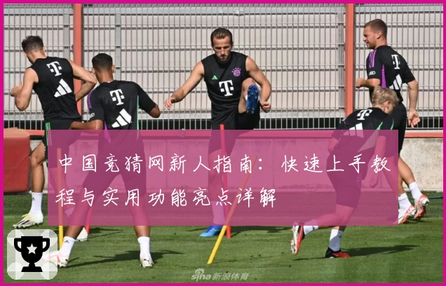 中国竞猜网新人指南：快速上手教程与实用功能亮点详解