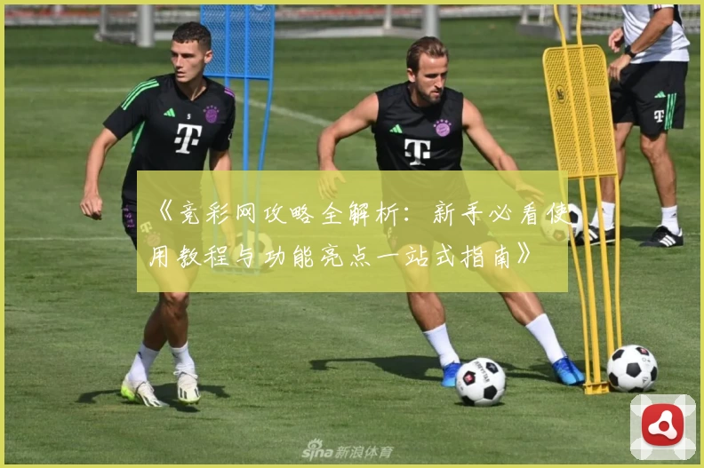 《竞彩网攻略全解析：新手必看使用教程与功能亮点一站式指南》